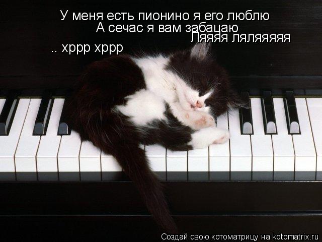 Котоматрица: У меня есть пионино я его люблю А сечас я вам забацаю Ляяяя ляляяяяя .. хррр хррр