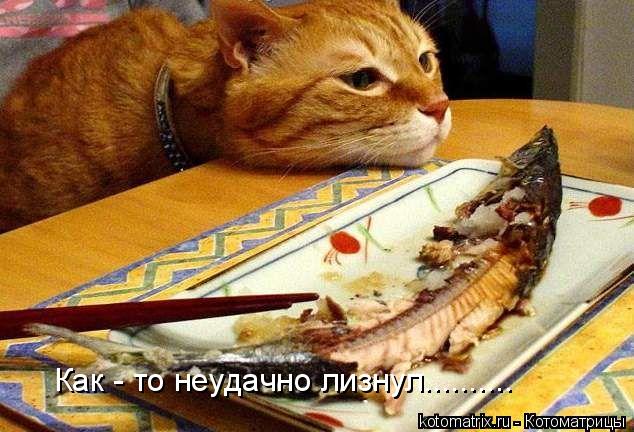 Как - то неудачно лизнул............. Котоматрица: Как - то неудачно лизнул..........