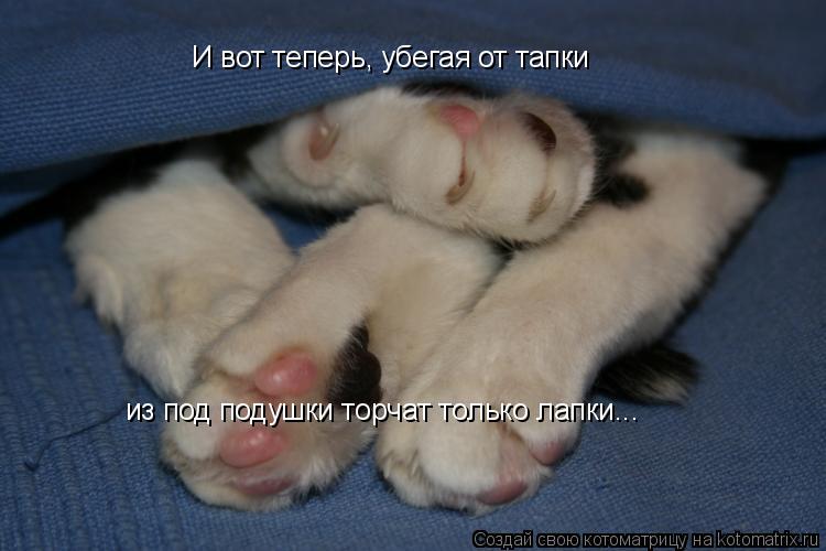 Котоматрица: И вот теперь, убегая от тапки из под подушки торчат только лапки...