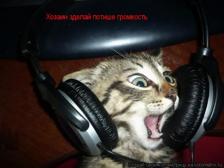 Котоматрица: Хозаин зделай потише громкость