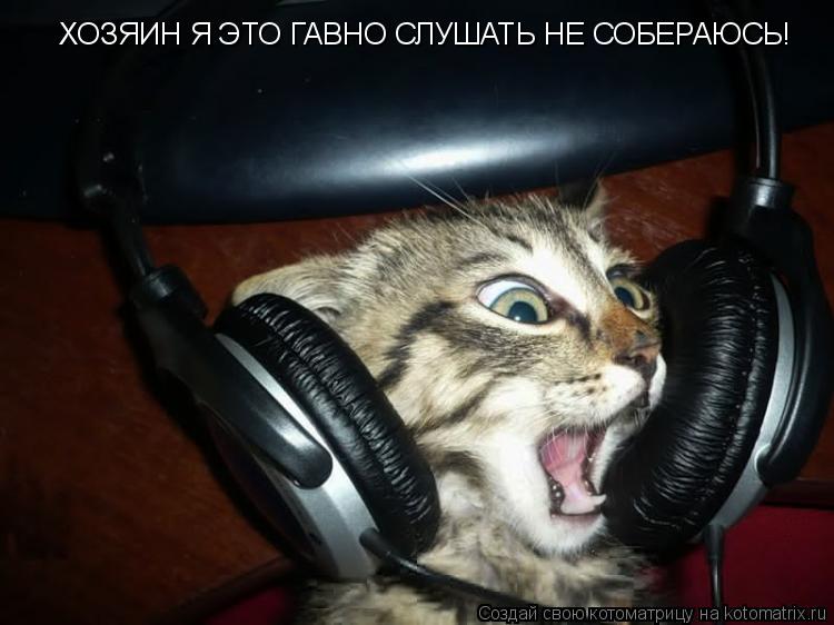 Котоматрица: ХОЗЯИН Я ЭТО ГАВНО СЛУШАТЬ НЕ СОБЕРАЮСЬ!