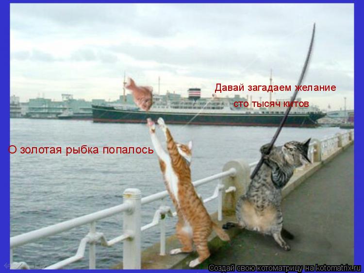 Котоматрица: О золотая рыбка попалось Давай загадаем желание сто тысяч китов