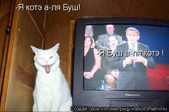 Котоматрица: -Я котэ а-ля Буш! -Я Буш а-ля котэ !