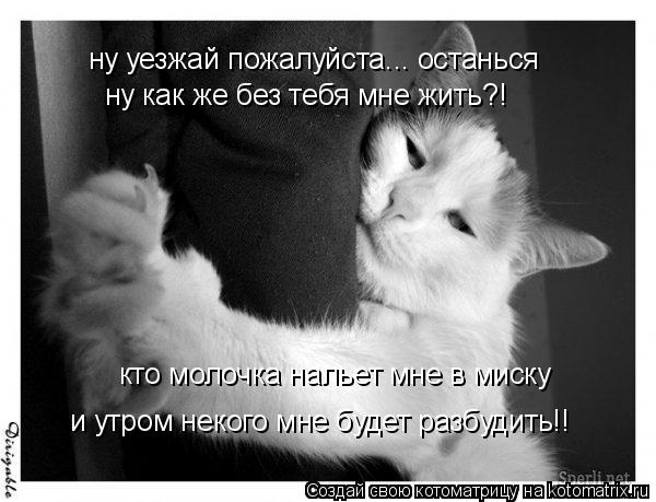 ну уезжай пожалуйста... останься ну как же без тебя мне жить?! кто молочка нальет мне в миску и утром... Котоматрица: ну уезжай пожалуйста... останься ну как же без тебя мне жить?! кто молочка нальет мне в миску и утром некого мне будет разбудить!!