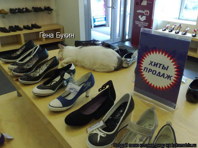 Котоматрица: Гена Букин