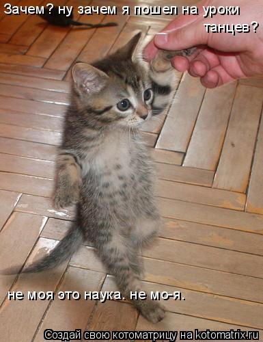 Зачем? ну зачем я пошел на уроки танцев? не моя это наука. не мо-я.... Котоматрица: Зачем? ну зачем я пошел на уроки танцев? не моя это наука. не мо-я.