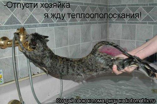 -Отпусти хозяйка я жду теплоополоскания!... Котоматрица: -Отпусти хозяйка я жду теплоополоскания!