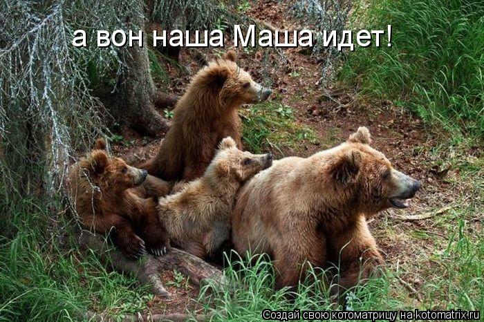 а вон наша Маша идет!... Котоматрица: а вон наша Маша идет!