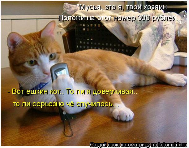 "Мусья, это я, твой хозяин. Положи на этот номер 300 рублей..." - Вот ешкин кот.. То ли я доверчивая.... Котоматрица: "Мусья, это я, твой хозяин. Положи на этот номер 300 рублей..." - Вот ешкин кот.. То ли я доверчивая.. то ли серьезно чё случилось...