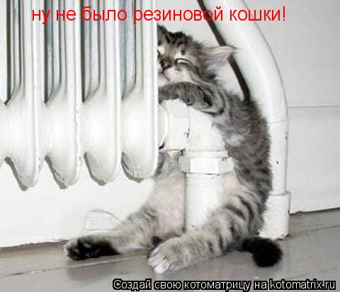 ну не было резиновой кошки!... Котоматрица: ну не было резиновой кошки!