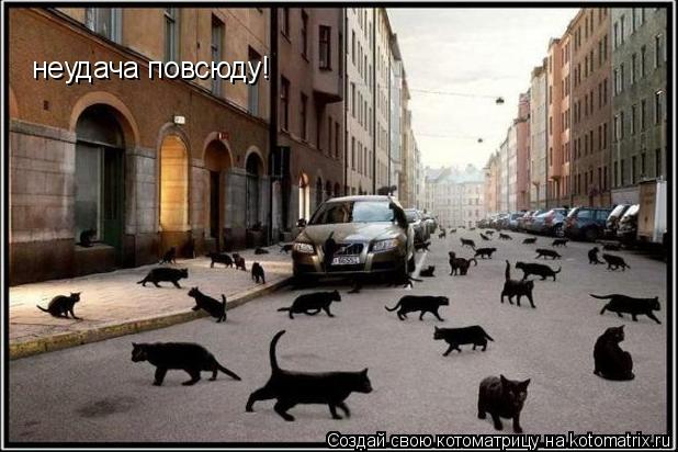 неудача повсюду!... Котоматрица: неудача повсюду!