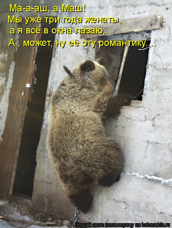 Ма-а-аш, а Маш! Мы уже три года женаты, а я всё в окна лазаю.. А , может, ну её эту романтику...... Котоматрица: Ма-а-аш, а Маш! Мы уже три года женаты, а я всё в окна лазаю.. А , может, ну её эту романтику...