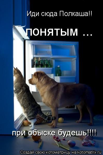 Котоматрица: Иди сюда Полкаша!! понятым ... при обыске будешь!!!!