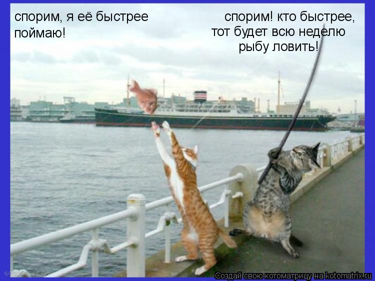 спорим, я её быстрее поймаю! спорим! кто быстрее, тот будет всю неделю рыбу ловить!... Котоматрица: спорим, я её быстрее поймаю! спорим! кто быстрее, тот будет всю неделю рыбу ловить!