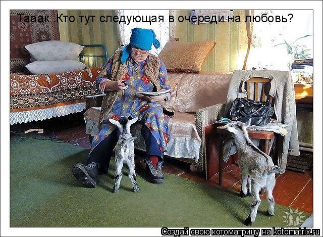Тааак..Кто тут следующая в очереди на любовь?... Котоматрица: Тааак..Кто тут следующая в очереди на любовь?