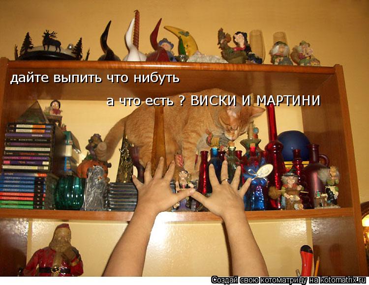 дайте выпить что нибуть дайте выпить что нибуть а что есть ? ВИСКИ И МАРТИНИ а что есть ? ВИСК... Котоматрица: дайте выпить что нибуть дайте выпить что нибуть а что есть ? ВИСКИ И МАРТИНИ а что есть ? ВИСКИ И МАРТИНИ тогда бросаю