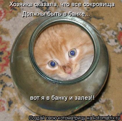 Хозяйка сказала, что все сокровища Должны быть в банке... вот я в банку и залез!!... Котоматрица: Хозяйка сказала, что все сокровища Должны быть в банке... вот я в банку и залез!!
