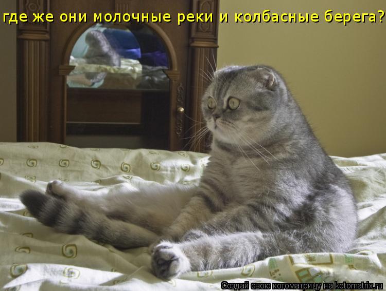где же они молочные реки и колбасные берега?... Котоматрица: где же они молочные реки и колбасные берега?