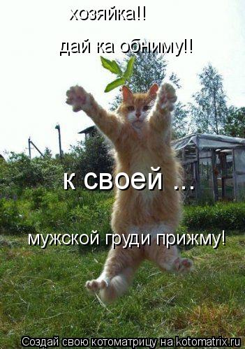 хозяйка!! дай ка обниму!! к своей ... мужской груди прижму!... Котоматрица: хозяйка!! дай ка обниму!! к своей ... мужской груди прижму!
