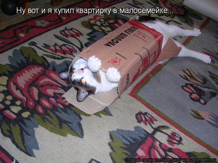 Ну вот и я купил квартирку в малосемейке...... Котоматрица: Ну вот и я купил квартирку в малосемейке...