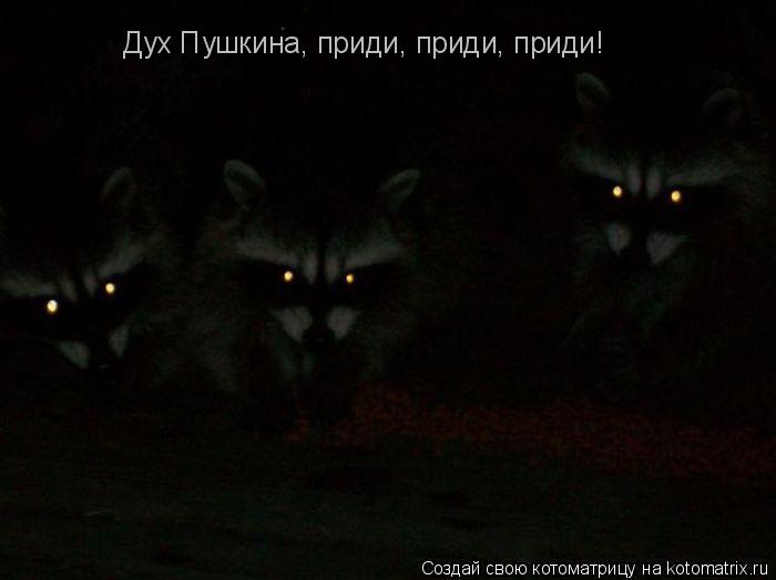 Дух Пушкина, приди, приди, приди!... Котоматрица: Дух Пушкина, приди, приди, приди!