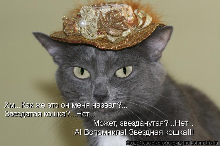 Хм...Как же это он меня назвал?... Звездатая кошка?...Нет... Может, звезданутая?...Нет... А! Вспомнил... Котоматрица: Хм...Как же это он меня назвал?... Звездатая кошка?...Нет... Может, звезданутая?...Нет... А! Вспомнила! Звёздная кошка!!!