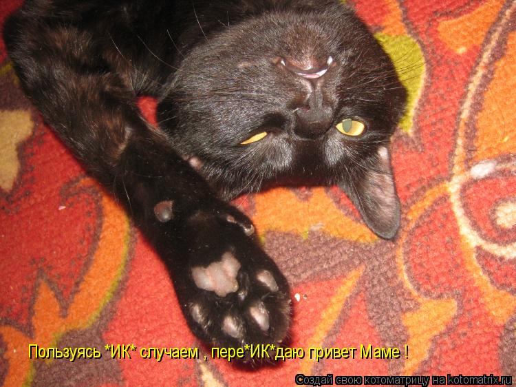 Пользуясь *ИК* случаем , пере*ИК*даю привет Маме !... Котоматрица: Пользуясь *ИК* случаем , пере*ИК*даю привет Маме !