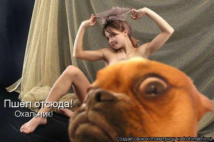 Пшёл отсюда! Охальник!... Котоматрица: Пшёл отсюда! Охальник!