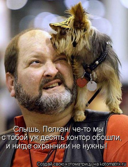 Котоматрица: Слышь, Полкан, че-то мы с тобой уж десять контор обошли, и нигде охранники не нужны!