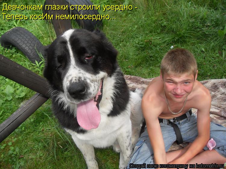 Девчонкам глазки строили усердно - Теперь косИм немилосердно...... Котоматрица: Девчонкам глазки строили усердно - Теперь косИм немилосердно...