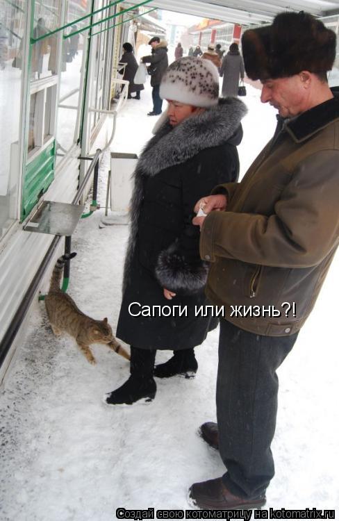 Сапоги или жизнь?!... Котоматрица: Сапоги или жизнь?!