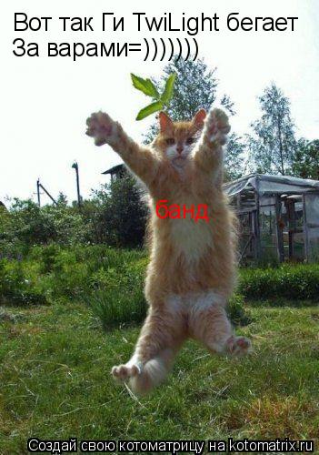 Вот так Ги TwiLight бегает За варами=))))))) банд... Котоматрица: Вот так Ги TwiLight бегает За варами=))))))) банд