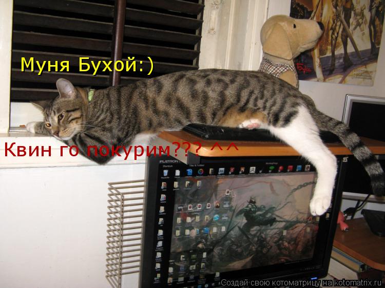 Муня Бухой:) Квин го покурим??? ^^... Котоматрица: Муня Бухой:) Квин го покурим??? ^^