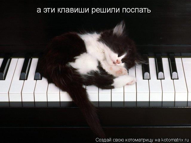 а эти клавиши решили поспать... Котоматрица: а эти клавиши решили поспать