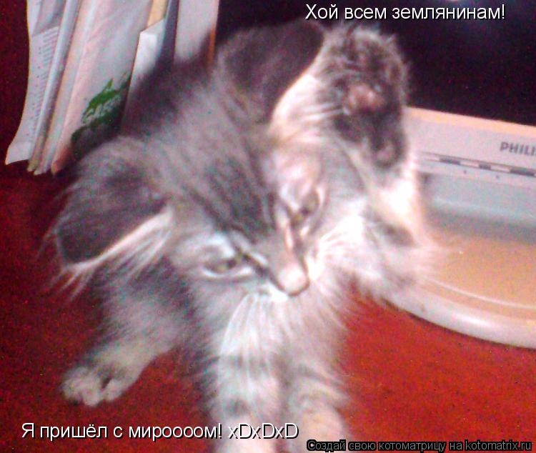 Хой всем землянинам! Я пришёл с мироооом! xDxDxD... Котоматрица: Хой всем землянинам! Я пришёл с мироооом! xDxDxD