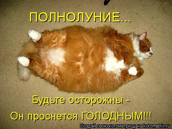 ПОЛНОЛУНИЕ... Будьте осторожны - Он проснется ГОЛОДНЫМ!!!... Котоматрица: ПОЛНОЛУНИЕ... Будьте осторожны - Он проснется ГОЛОДНЫМ!!!