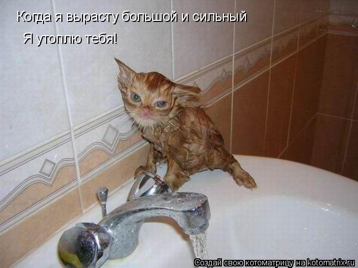 Когда я вырасту большой и сильный Я утоплю тебя!... Котоматрица: Когда я вырасту большой и сильный Я утоплю тебя!