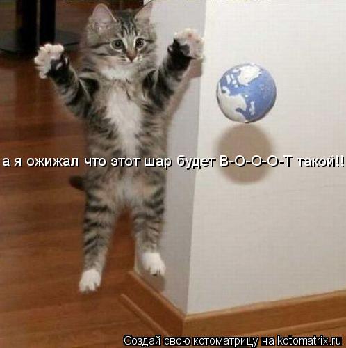 а я ожижал что этот шар будет В-О-О-О-Т такой!!!... Котоматрица: а я ожижал что этот шар будет В-О-О-О-Т такой!!!