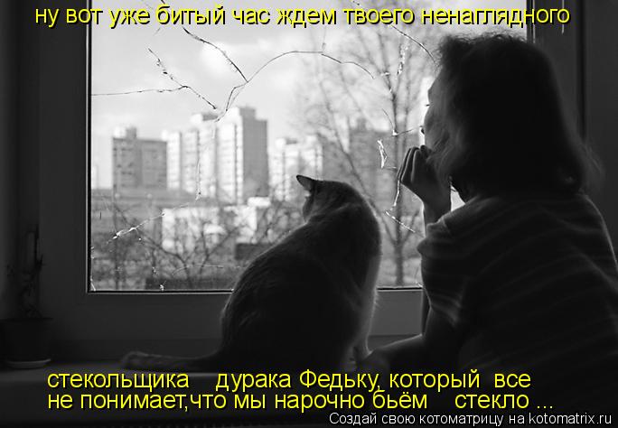 Котоматрица: ну вот уже битый час ждем твоего ненаглядного  стекольщика    дурака Федьку, который  все не понимает,что мы нарочно бьём    стекло ...
