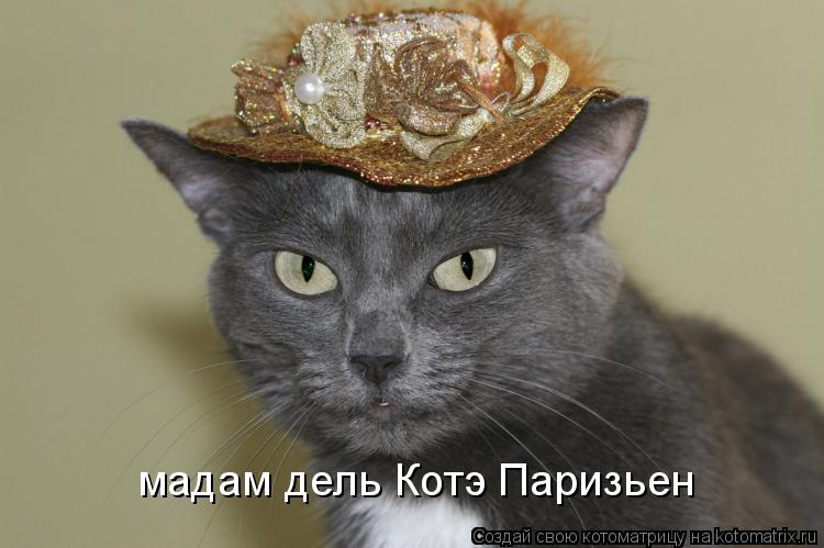 мадам дель Котэ Паризьен... Котоматрица: мадам дель Котэ Паризьен