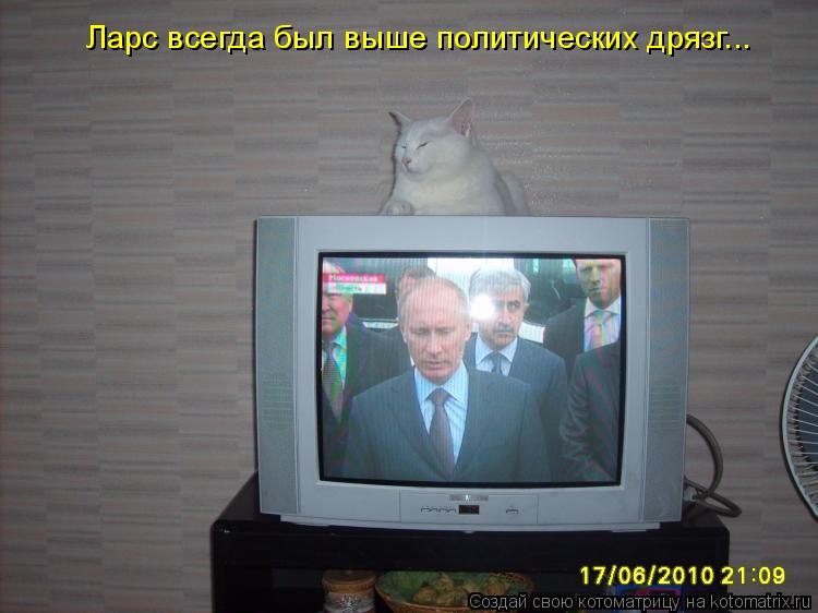 Котоматрица: Ларс всегда был выше политических дрязг...