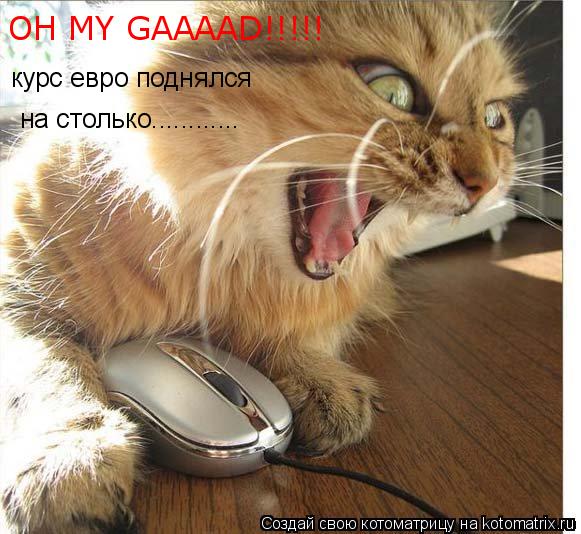 Котоматрица: курс евро поднялся  на столько............ OH MY GAAAAD!!!!!
