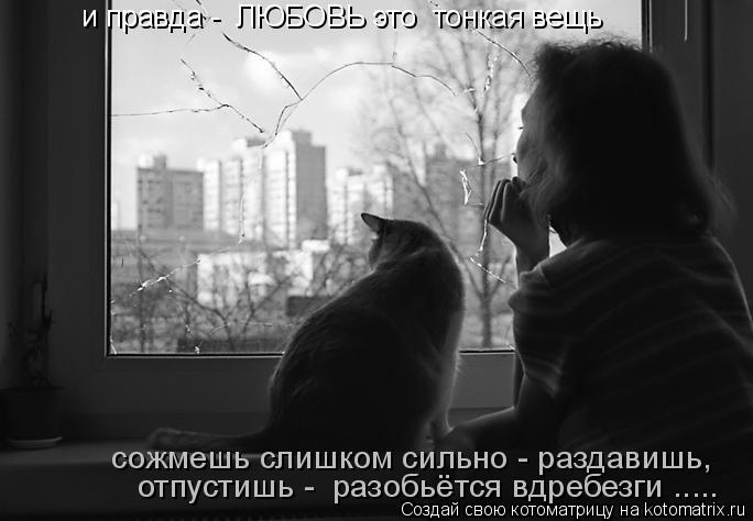 Котоматрица: и правда -  ЛЮБОВЬ это  тонкая вещь  сожмешь слишком сильно - раздавишь,  отпустишь -  разобьётся вдребезги .....