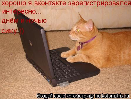 хорошо я вконтакте зарегистрировался интересно ... днём и ночью сижу:))... Котоматрица: хорошо я вконтакте зарегистрировался интересно ... днём и ночью сижу:))