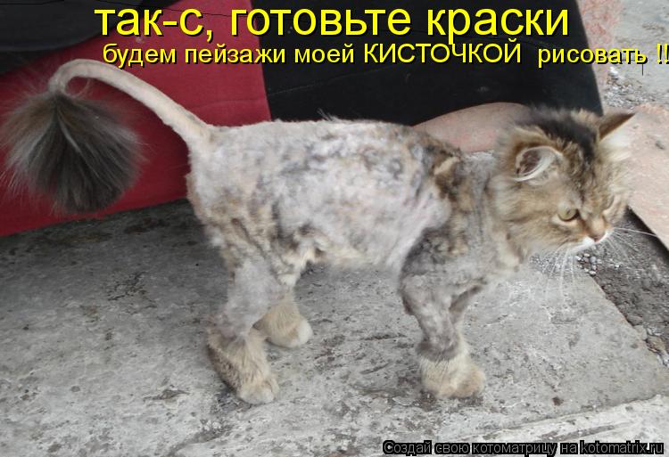 так-с, готовьте краски будем пейзажи моей КИСТОЧКОЙ рисовать !!!... Котоматрица: так-с, готовьте краски будем пейзажи моей КИСТОЧКОЙ рисовать !!!