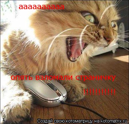 аааааааааа опять взломали страничку !!!!!!!!!!!... Котоматрица: аааааааааа опять взломали страничку !!!!!!!!!!!