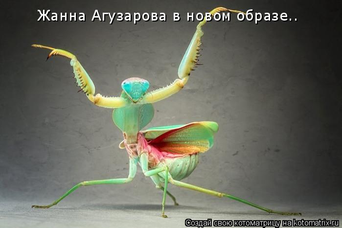 Жанна Агузарова в новом образе..... Котоматрица: Жанна Агузарова в новом образе..