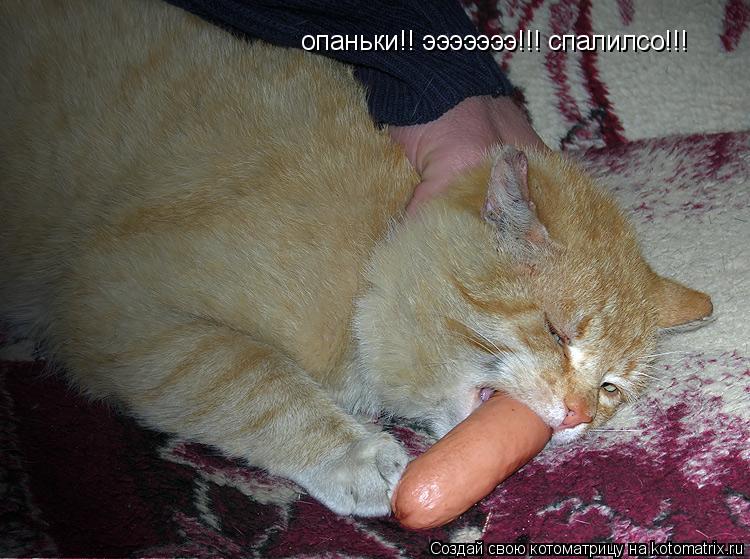 опаньки!! эээээээ!!! спалилсо!!!... Котоматрица: опаньки!! эээээээ!!! спалилсо!!!