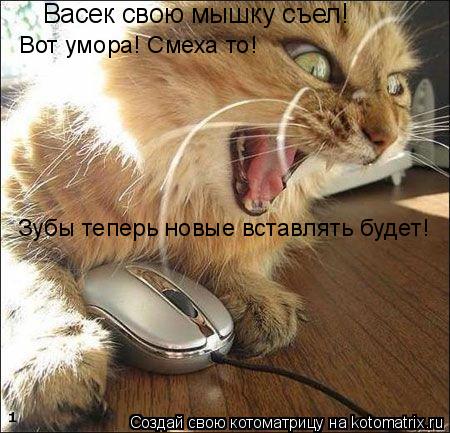Котоматрица: Васек свою мышку съел! Зубы теперь новые вставлять будет! Вот умора! Смеха то!