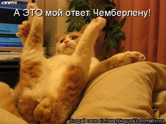 Котоматрица: А ЭТО мой ответ Чемберлену!